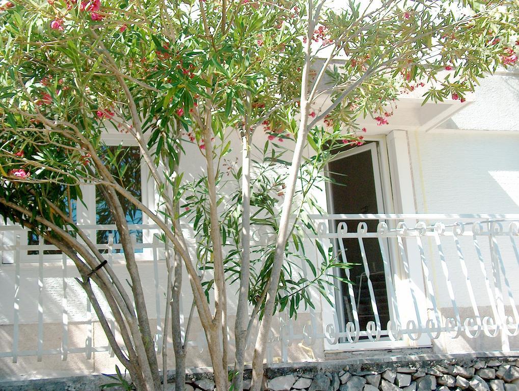 Villa Blanka Donji Okrug  Номер фото